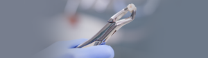 Dentist at Waterdown Smiles Dentistry holding an extracted tooth using a surgical tool while telling patients what they can eat after tooth extraction.